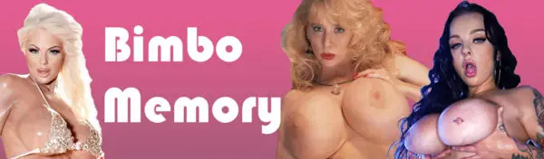 Bimbo Memory [v1.0] [cauldron]