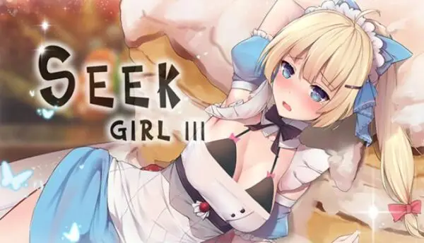 Seek Girl III [Final] [DSGame]