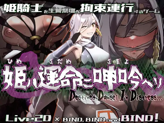 Bound by Destiny [v1.0.5] [egig ere faundation]