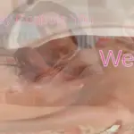 4879041 pussyworship 1 | Free Adult Games