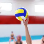 4971719 d2 volleyball 22 | Free Adult Games