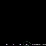 4993805 bug1 | Free Adult Games