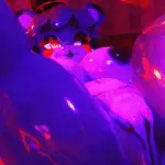 5033577 Ih3Fce | Free Adult Games