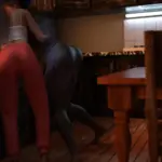 5104558 EveDishwashingtier2 Shag1 9 | Free Adult Games