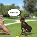 5185513 Desktop Screenshot02.12.03.84 | Free Adult Games