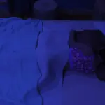 5875618 birthday surprise 041 | Free Adult Games