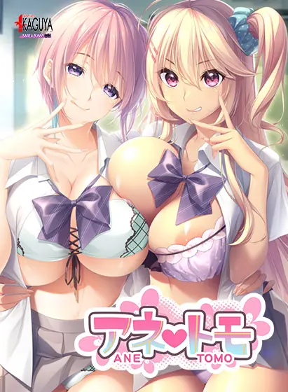 Anetomo [Final] [Atelier Kaguya BARE & BUNNY]