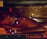 5762109 JarlinaChillin | Free Adult Games